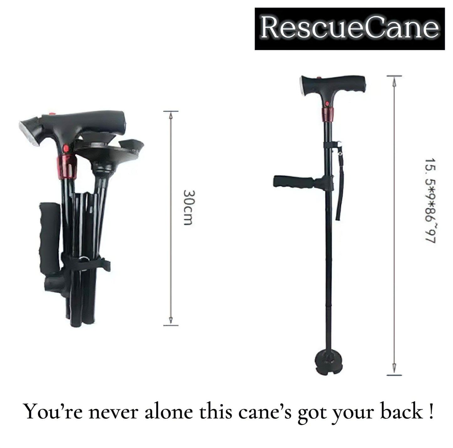 RescueCane